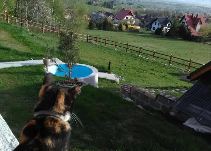 Domek Panorama